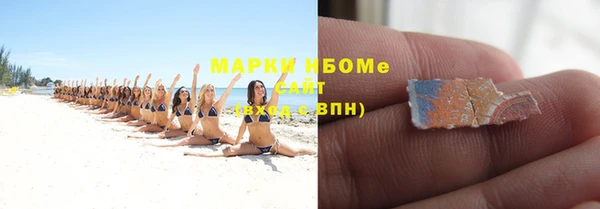 молекула духа Надым