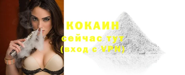 молекула духа Надым