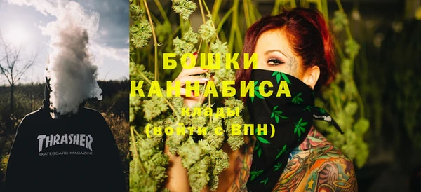 молекула духа Надым