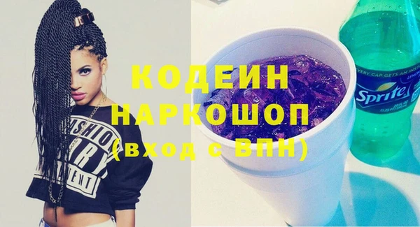 молекула духа Надым