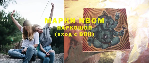 молекула духа Надым
