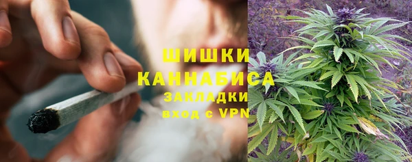 молекула духа Надым