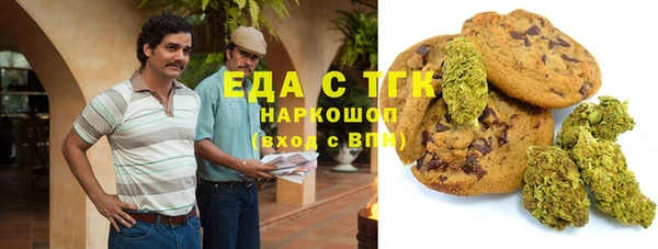 молекула духа Надым