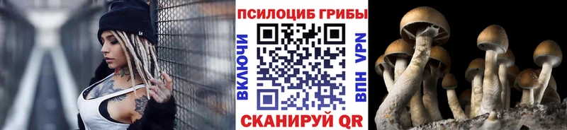 Псилоцибиновые грибы GOLDEN TEACHER  OMG tor  Туапсе  что такое  